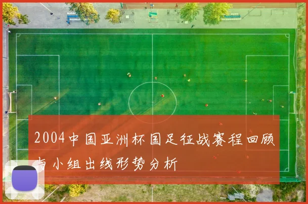 2004中国亚洲杯国足征战赛程回顾与小组出线形势分析