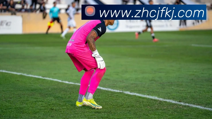 App Interface Preview